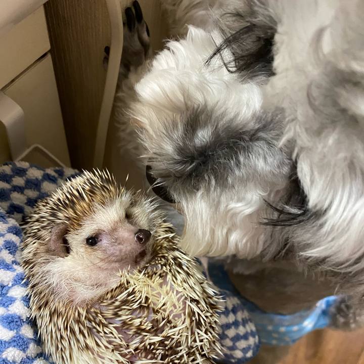 A81b1407 332b 4f5b 9d3d 43a9244c6e65 1648740565326