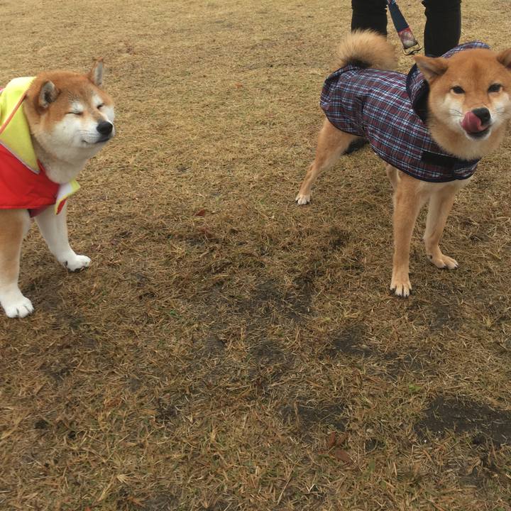 A81b326c b014 4dba 9bf9 73271dbae487 1574490248591