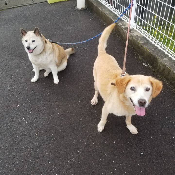 A81b6ceb 1e2f 4e73 aae5 0ca6b39c8c09 1663458816508