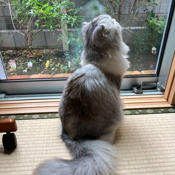 A81ba72f f2f8 400f b2a8 93725207c7d0 1603543414855