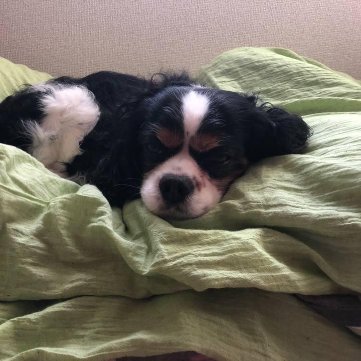 A81bb6a4 aa29 48f1 93c4 adc542725449 1553314367287