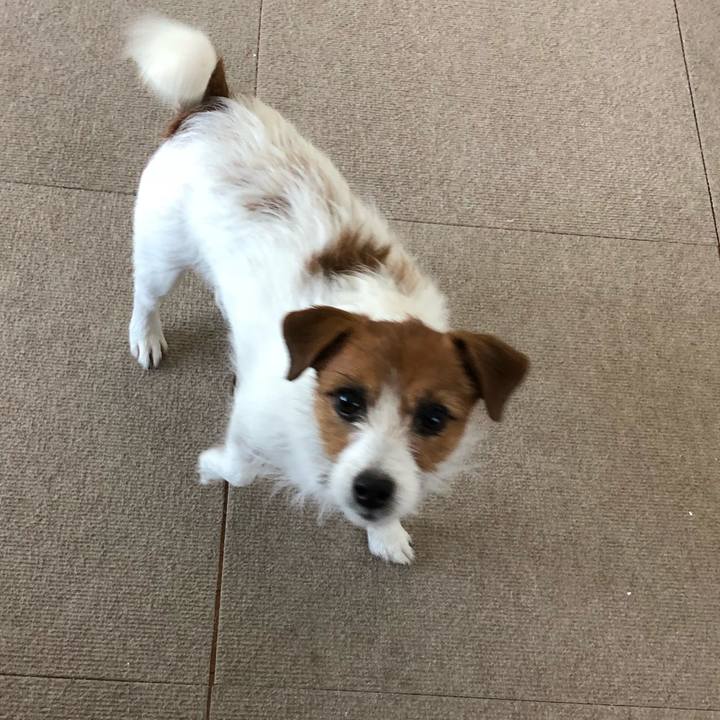 A81c2c08 f322 4236 b9c1 b548c79de947 1522473060112