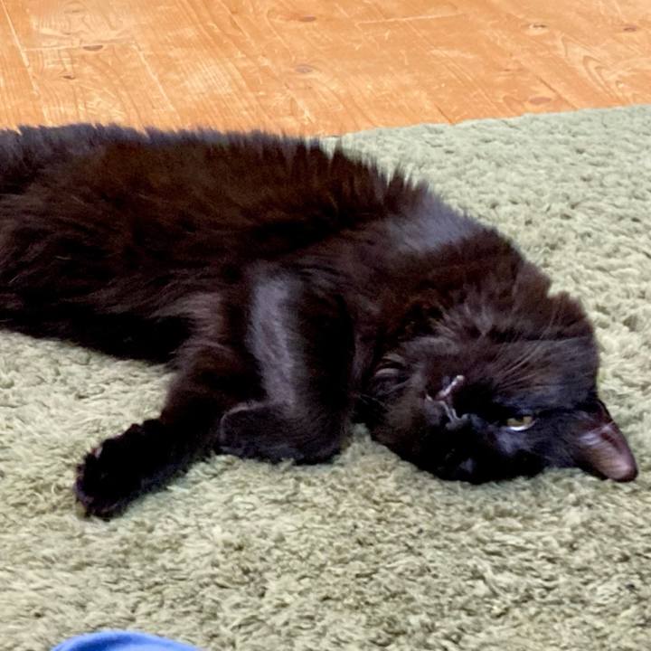 A81c6414 646d 4d01 9c7e 6371d97c9f49 1733476232669