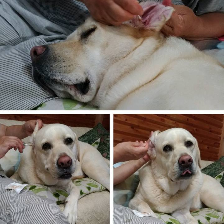 A81cc87b 83dd 4700 9939 a1a65400f526 1591361678925