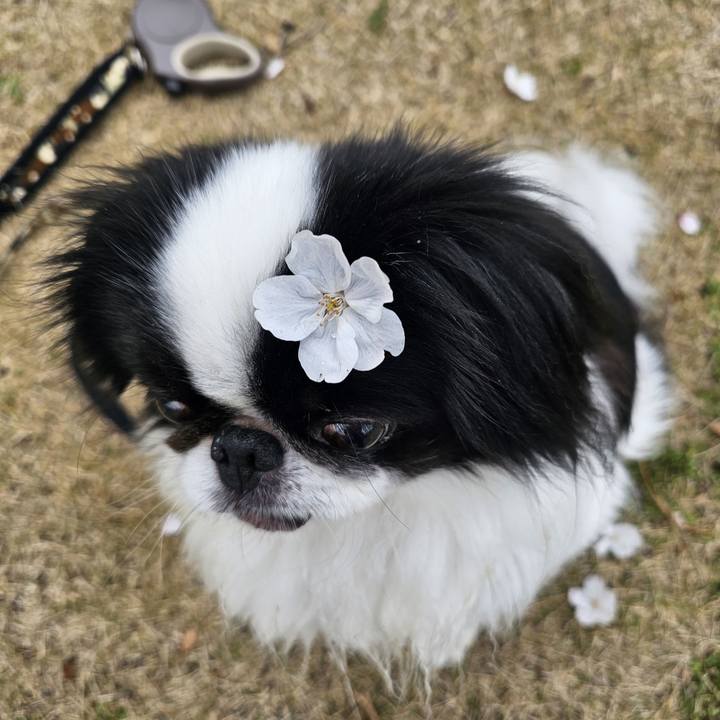 A81cd366 7c64 46e1 8d97 742d5f69c3b1 1712315711411