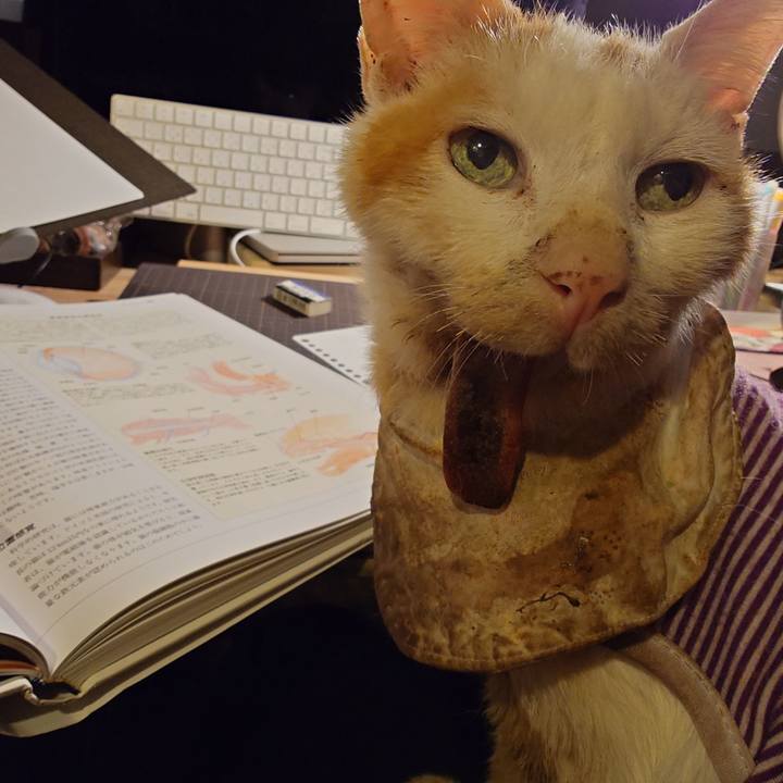 A81ce271 0c46 49d3 a448 38343b358908 1774185587393