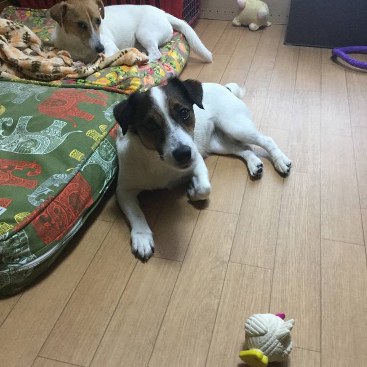 A81d0d7b 296b 4d34 bb56 596ed02d345b 1531264543246