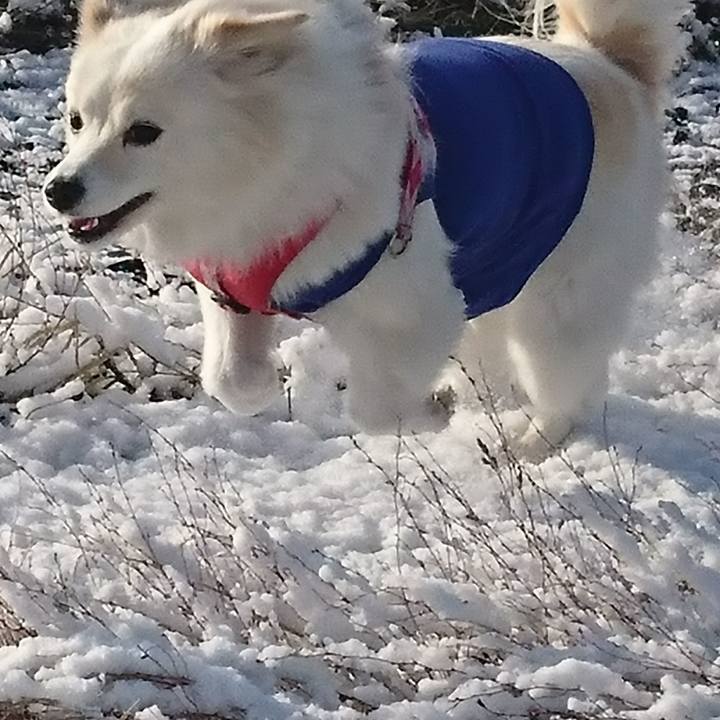 A81d431f fdee 4347 bfe7 7af1057b471c 1519174130957