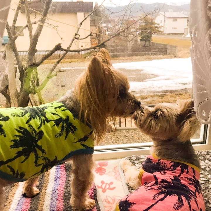 A81d4996 aa29 4a31 b20a b08c09ab7ac1 1585561807655