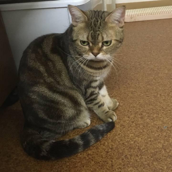 A81d49d5 dacc 4719 b7d6 e7dfb3ee7cea 1542342315870