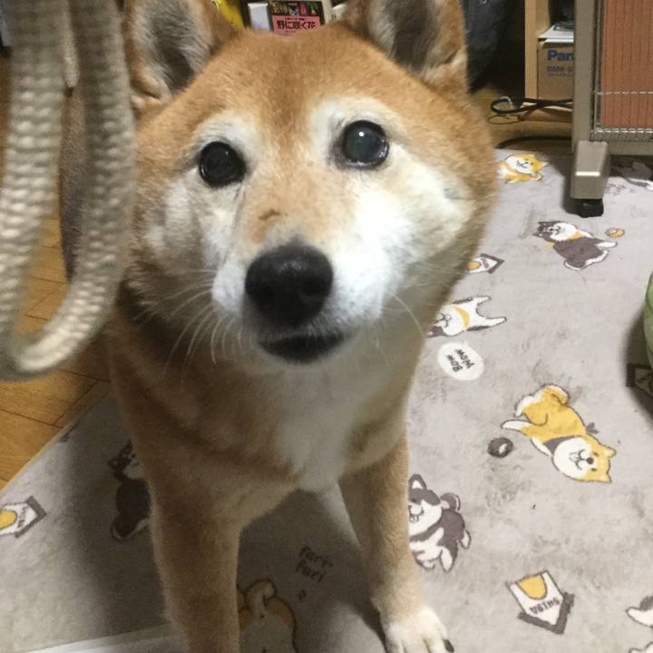 A81d747f ceb6 46d0 b162 a27689322170 1614684757492