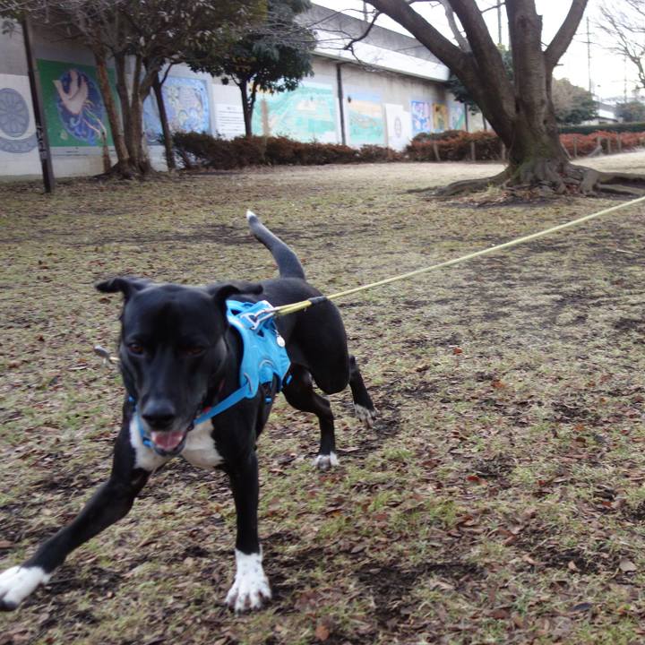 A81d7ee3 cf00 42fb b959 7698ede9f72e 1611620004505