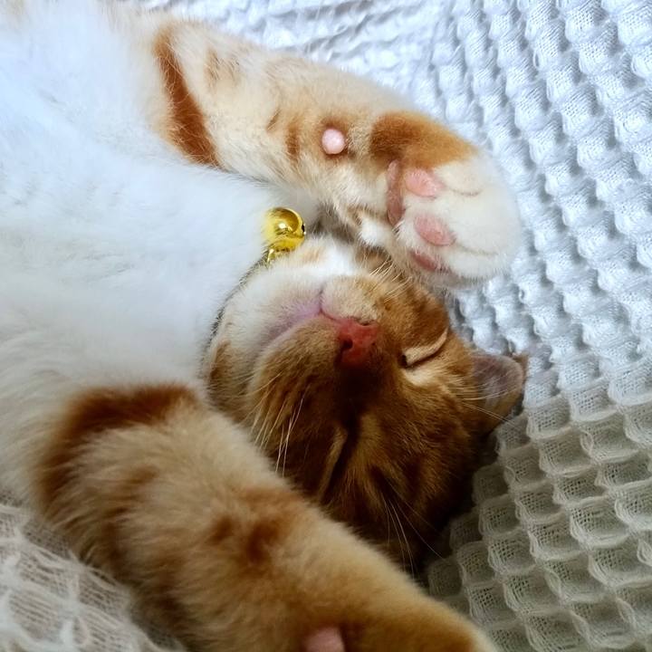 A81d82d7 b868 428b bd66 72796003e9b3 1683269236841