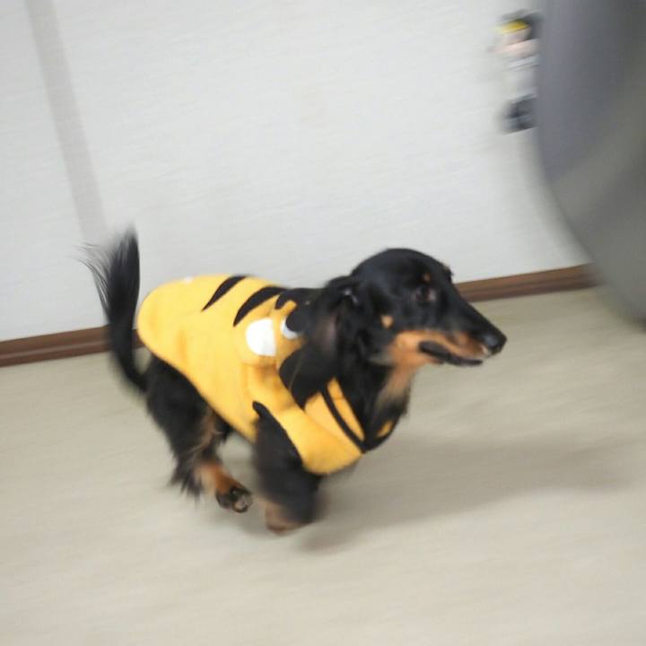 A81d9a13 baf6 4e97 88e7 37a8206c72f6 1550024662119