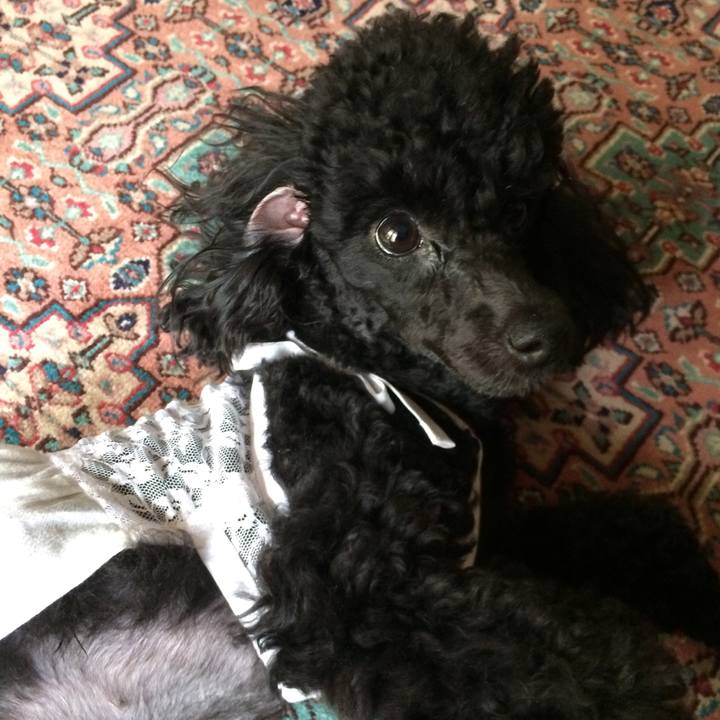 A81d9c10 7c51 4c29 9467 9bb6250420ea 1528515934649