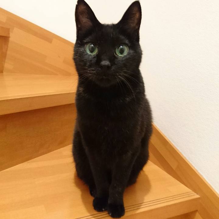 A81db066 dfaa 4cf4 8109 148ffa002577 1512571863079