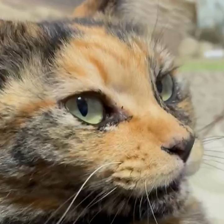 A81dbbfb aa8c 4d4b a94a 84097600519e 1766867850212