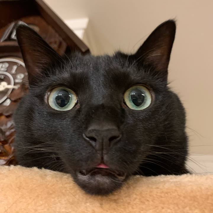 A81e1f14 1c5a 4bd2 8b62 2a3832a2cc01 1664550952753