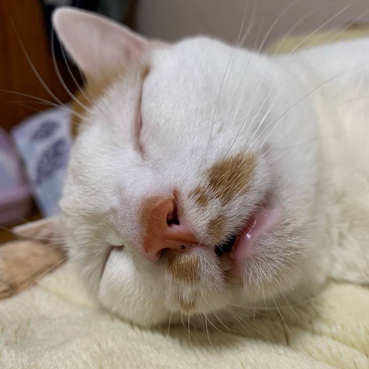 A81e3e38 0bd2 4da1 9d25 f015a1760764 1620570431169