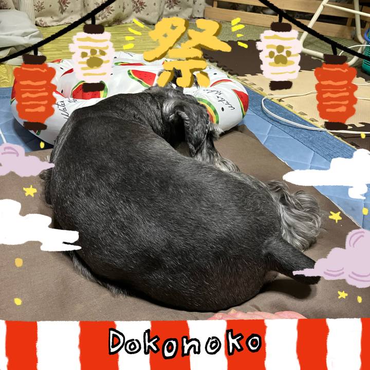 A81e4bd0 4c0e 47fe 9202 0bdd924d35f4 1723302798205