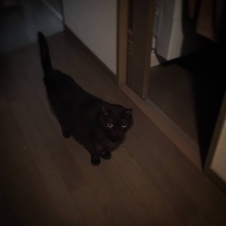 A81e536f 1979 45c1 bff4 a902d2c564d8 1530844696566