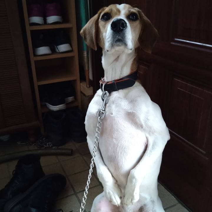 A81e7ced fdba 4de3 a9f0 b69883098528 1636376166068