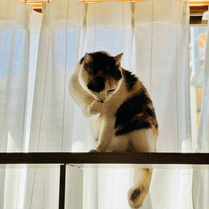 A81e7e95 082f 4934 8cee 0b8145ca0b50 1695517468082