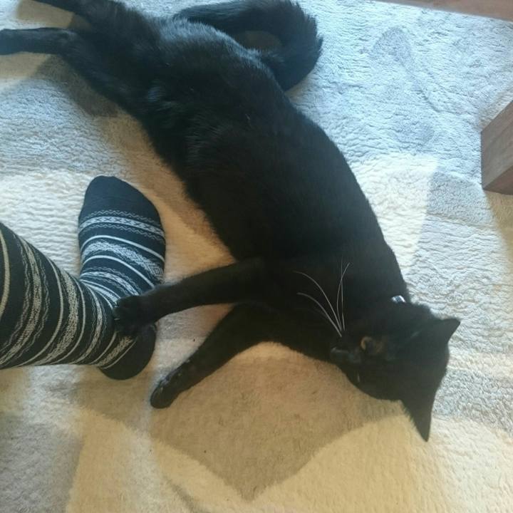 A81e8c90 14ad 41b4 919d 8f029135f467 1514422104596