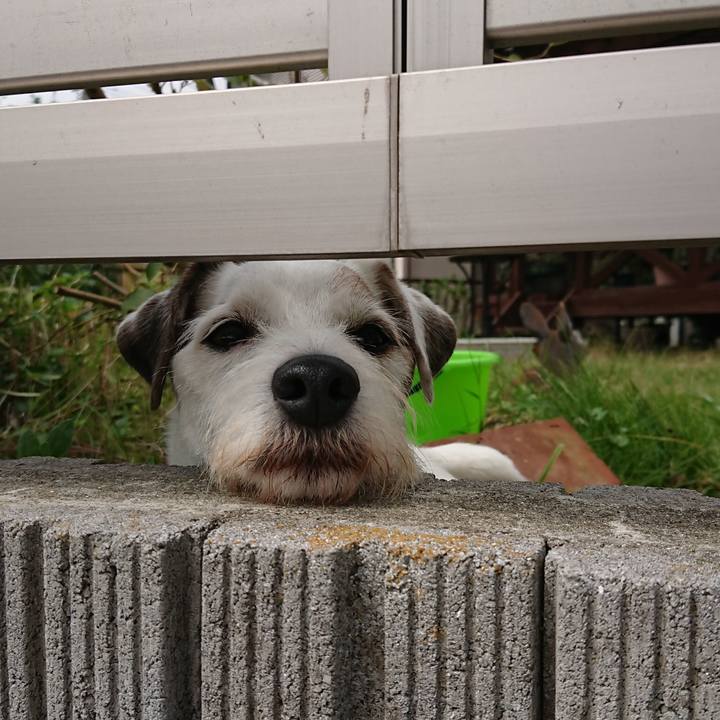 A81e9603 aa46 4bbd a22c 85cac3348f0a 1569281704429