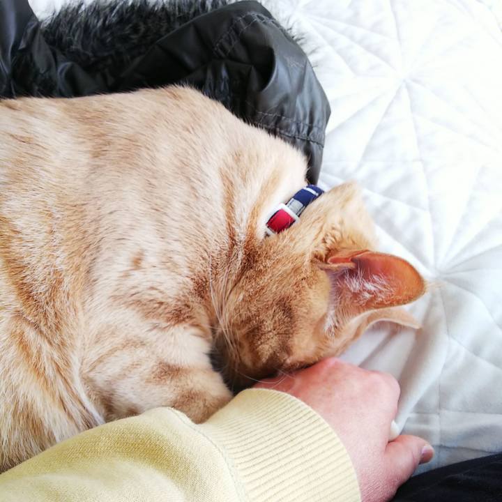 A81ebdb8 8a50 4e72 b6ba 52d64f3d0e15 1582337312618