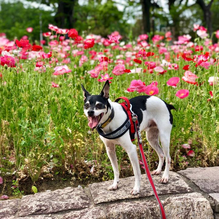 A81efd77 6eb3 4cb8 b7e1 e528ac23f141 1558134528897