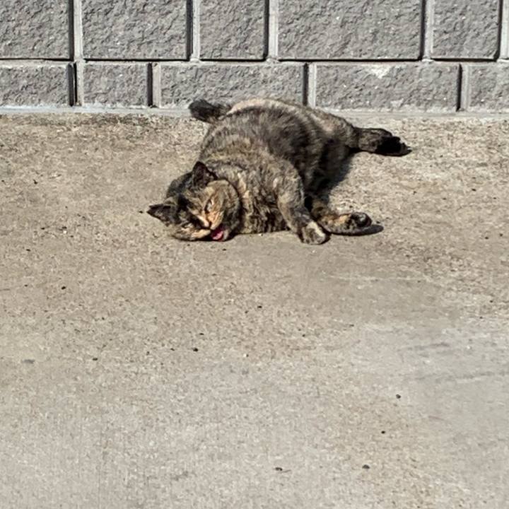 A81eff0d 879c 4d6b ae63 5ab13b6a163f 1643283490519