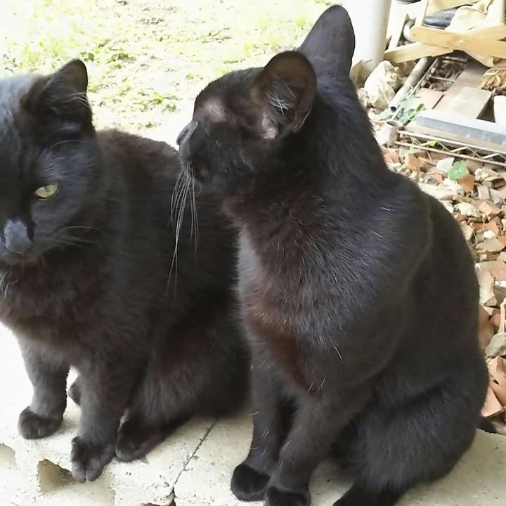 A81f326e 3a18 4177 a8cf 42a850a12a6e 1556074128648