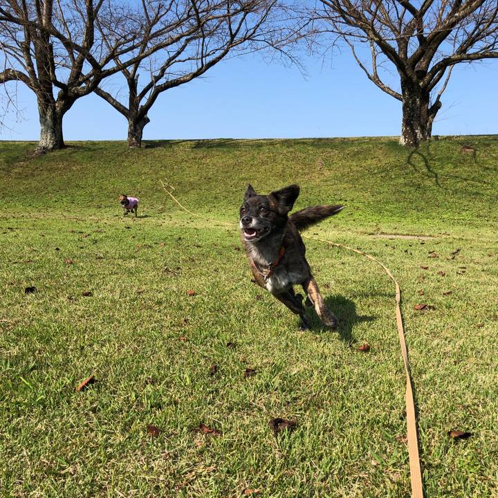 A81f49b7 ecb9 469e ada7 46f5c48642cc 1571743894339