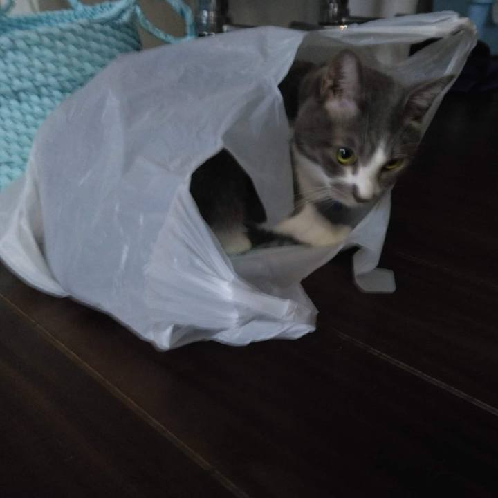 A81f5826 b52f 44f5 84d8 b774860c4fca 1665739070879