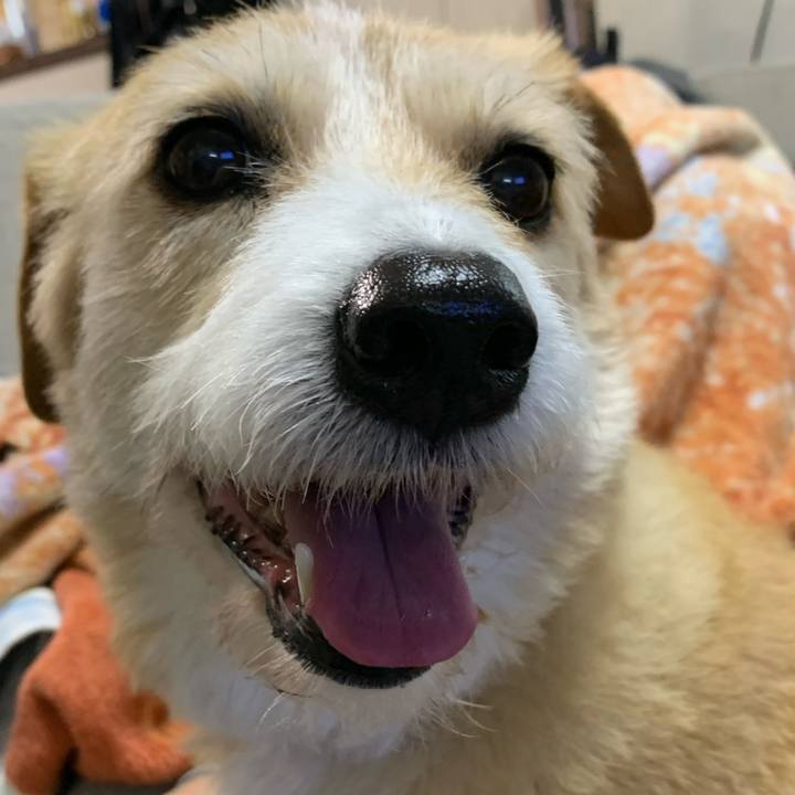 A81f9c79 b127 4e45 abd3 15e7a439033c 1588720243589