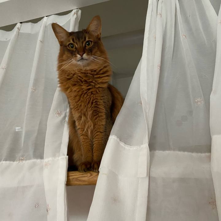 A81fff56 4355 497d 8256 f60681ed992c 1646114567054