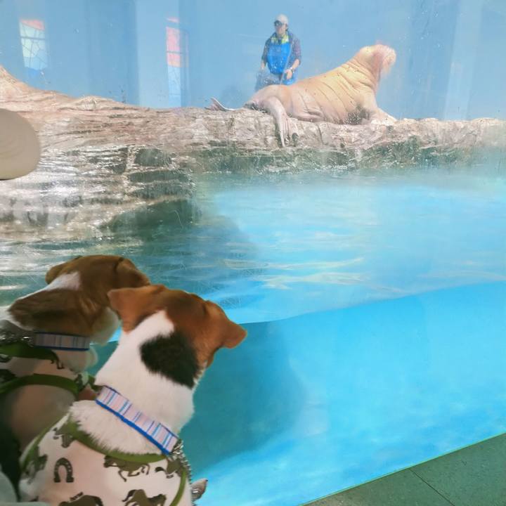 A82001fb a365 4790 a1f2 5746e7e0f9e1 1768564230770