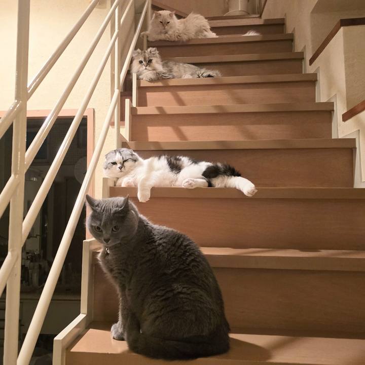 A82002be 642e 4733 afed 9b676a1644fa 1747480322587