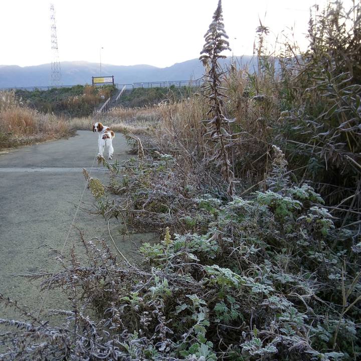 A82002d3 7008 4698 903e c13824f8f1a2 1512606010217