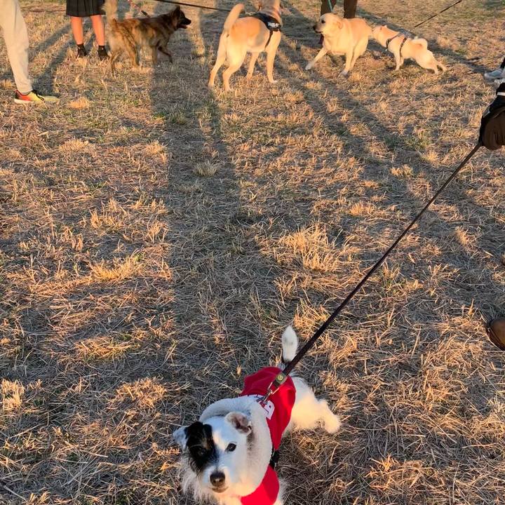 A8200c22 9ce1 40db 8879 03bec4d719fb 1674028396508