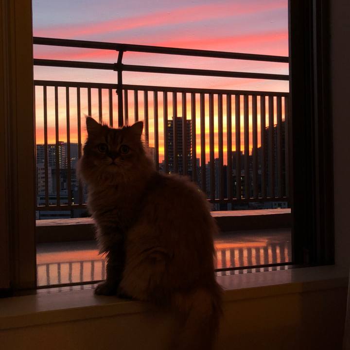 A8201080 208f 4894 8563 7998be0d9b58 1534585509735