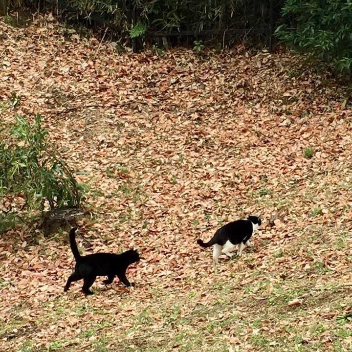 A8202815 ca41 47b6 925c 1d22c2432a87 1520762687990