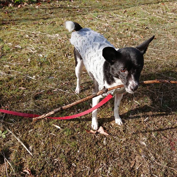 A820308e 1581 448a 8322 ca7a436a30b6 1545745100524