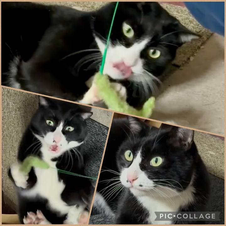 A820562f 6f43 401f 8cf5 f947380048a3 1771598401067