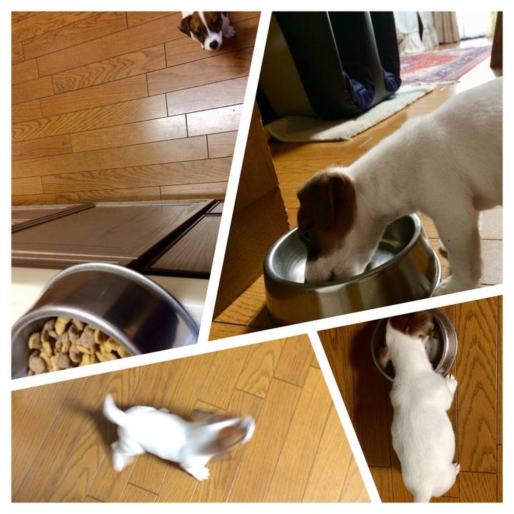 A8207922 7df3 4502 a3a0 48130fb11b24 1510267277907