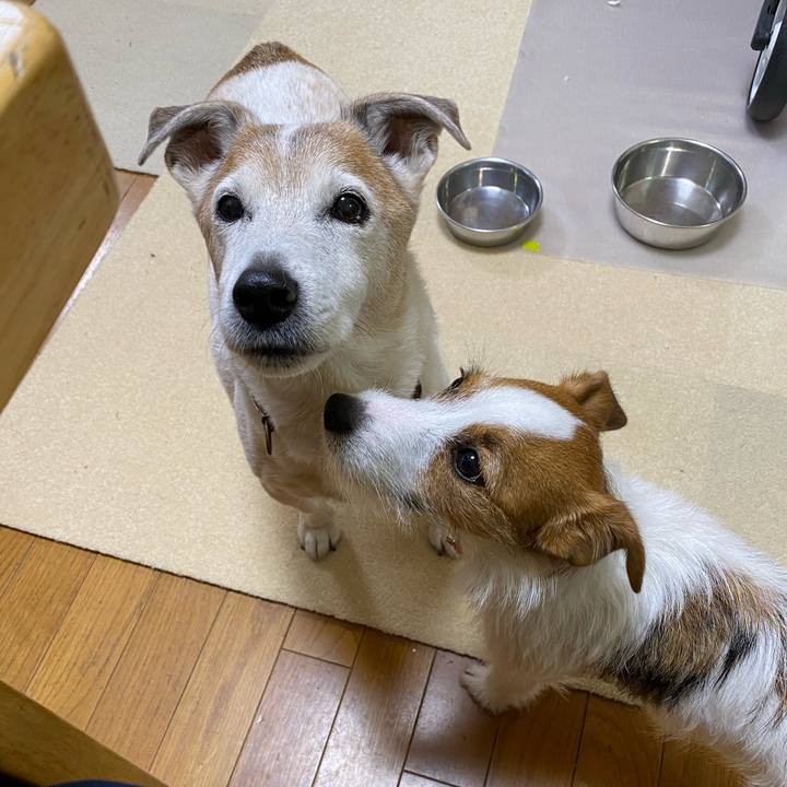 A820797f 6f65 46db 95d1 8f63abc7130c 1640126980448