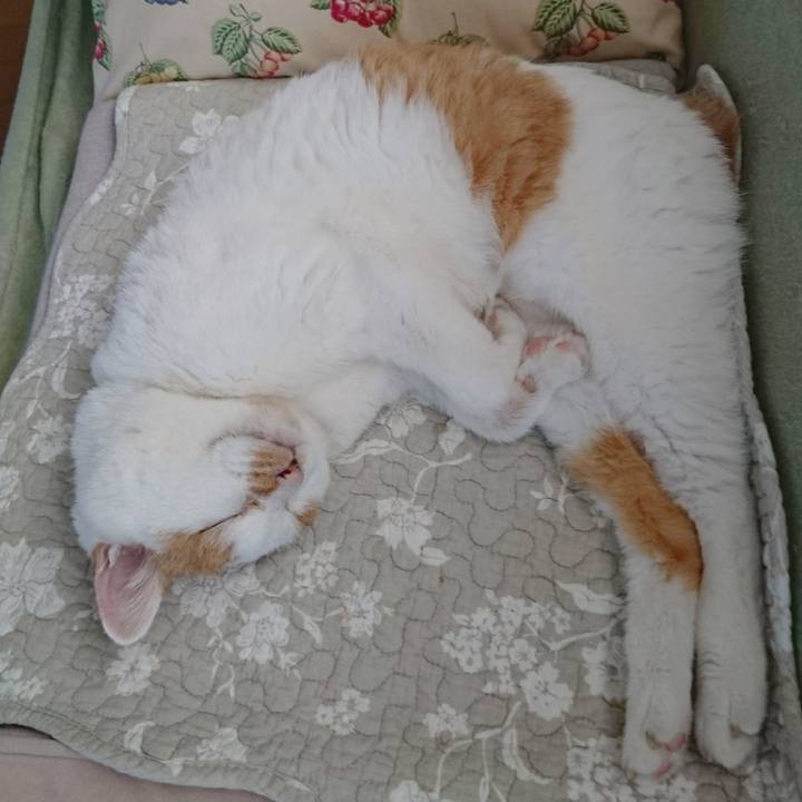 A820ae8c 2b10 4913 85cf 2eeca57f6448 1688128931412