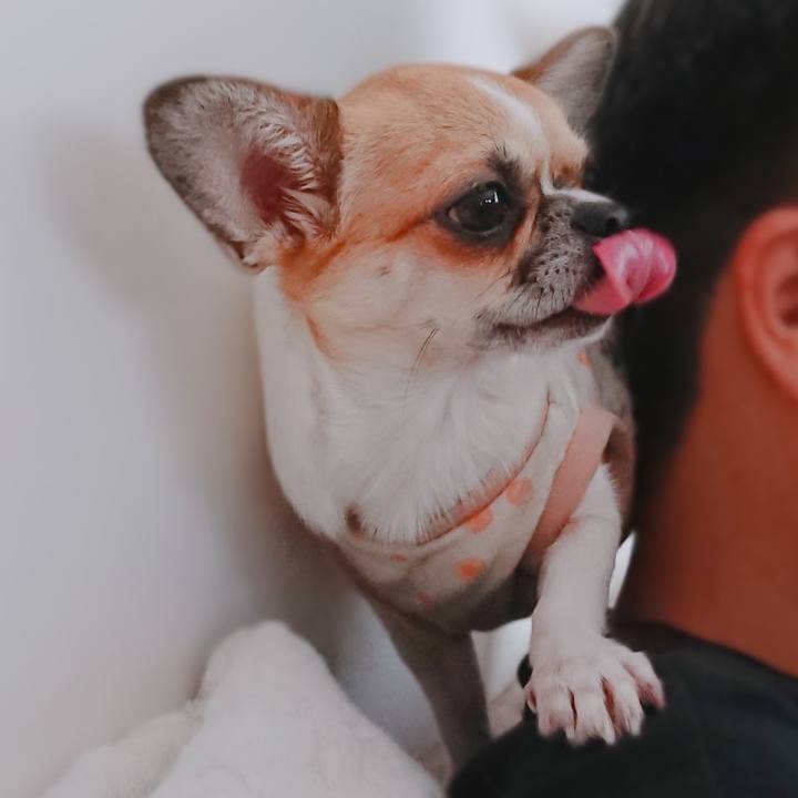 A82110b0 a229 4b1d 959c 8d351310f76d 1569139889223