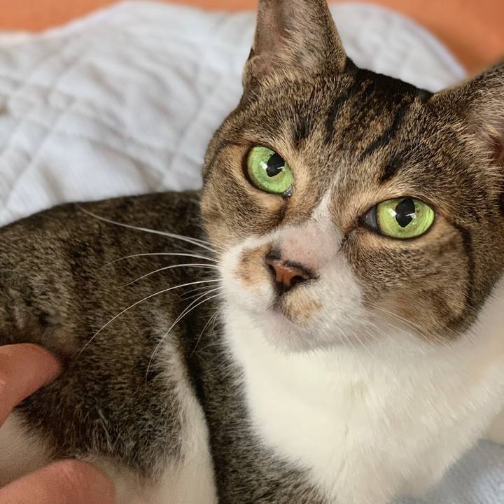 A821113c 3dfc 4d05 837b 7dd5e3532bd2 1566347726821